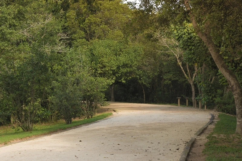 Bosque da Barra - Rio de Janeiro
