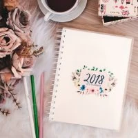 PLANNER 2018 PARA IMPRIMIR – DOWNLOAD GRATUITO