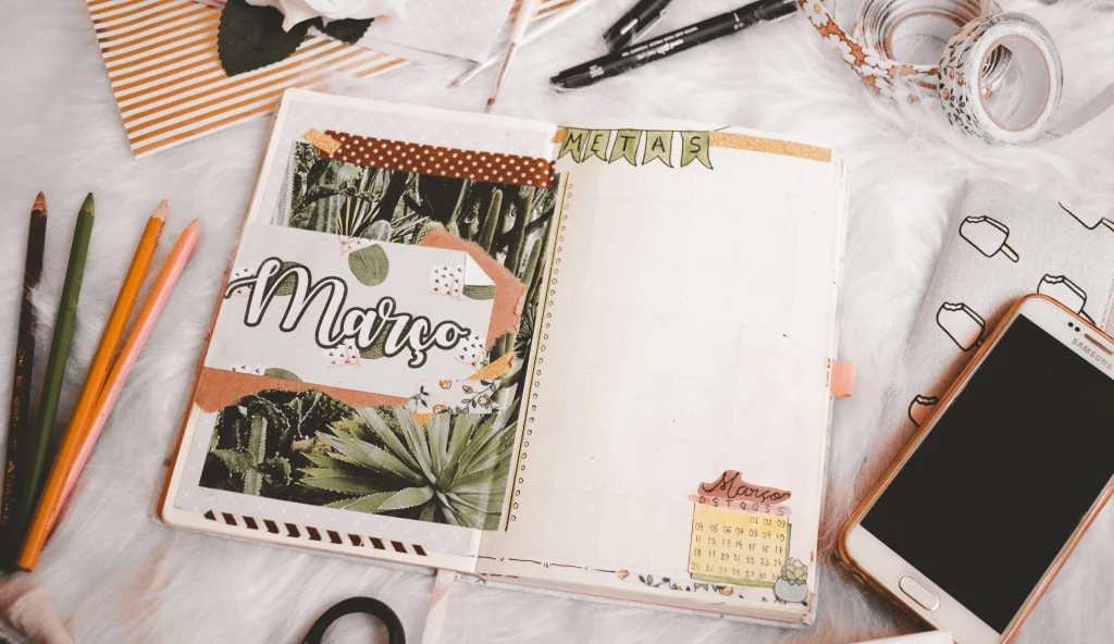Meu bullet journal março 2018 - tema cactos - Blog Conversando com a Lua- Dayane Nascimento