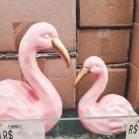 ACHADOS DE DECORAÇÃO NO SAARA – RJ
